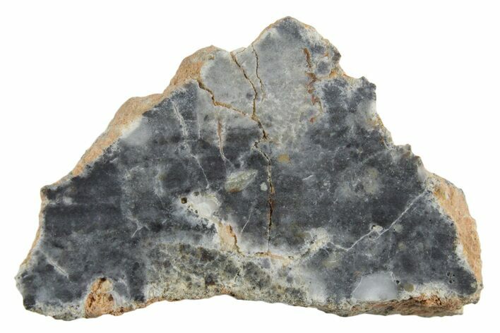 Lunar Meteorite ( g) Section - Bechar #348197